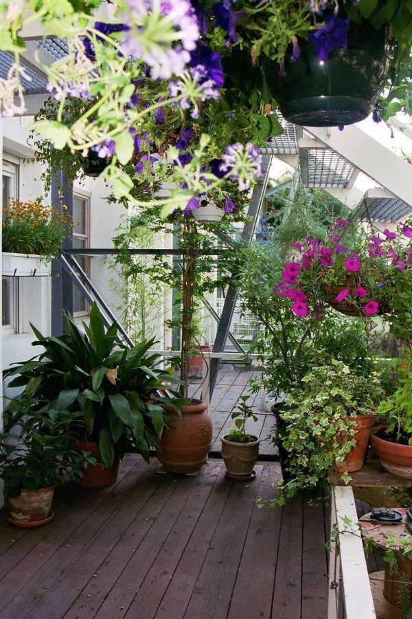 Loft De Cannes B&B Экстерьер фото